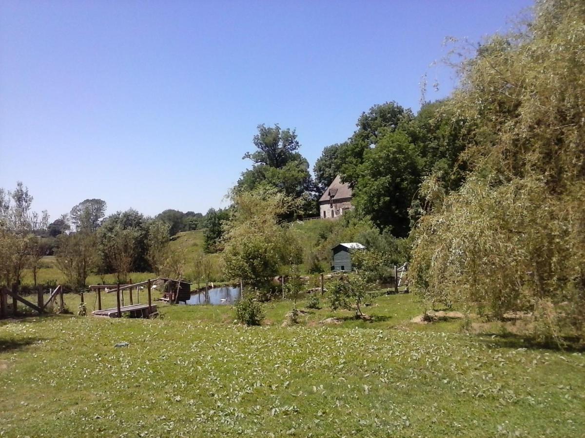 Willowtree Aveze (Puy-de-Dome)